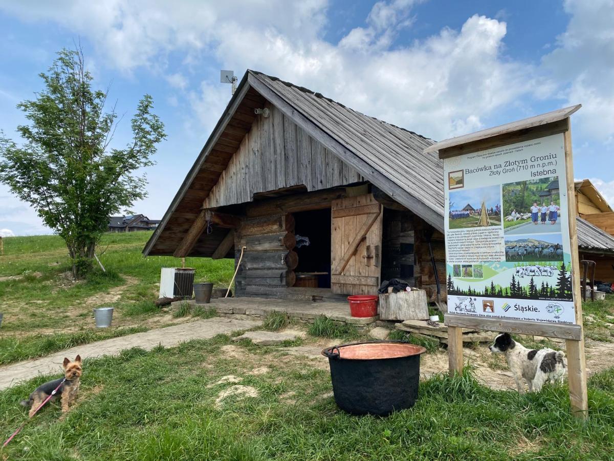 Zloty Gron Log Houses & Apartments Istebna Esterno foto